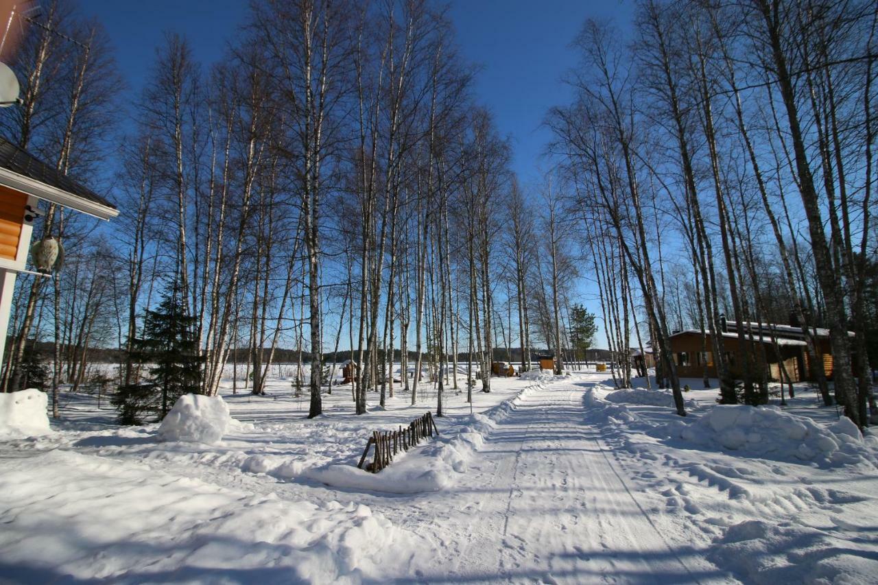 Verlan Satumaa